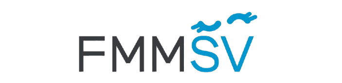 fmmsv